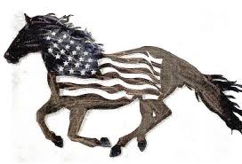 americn horses